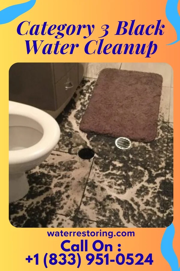 Category 3 Black Water Cleanup in Pilot Mound, IA